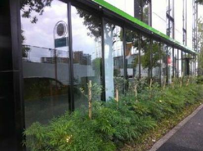 船橋市本町１